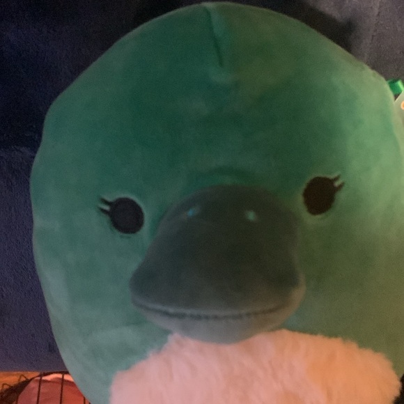 Selassi the platypus squishmallow NWT - Picture 4 of 4